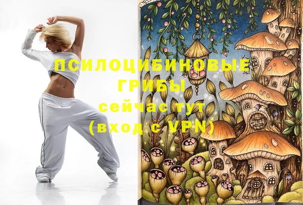 дмт Аркадак